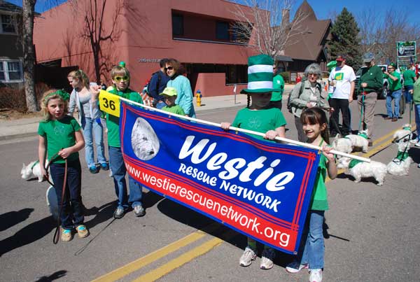 westies of colorado springs